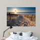 sunshine over path to beach in North sea 