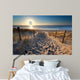 sunshine over path to beach in North sea 
