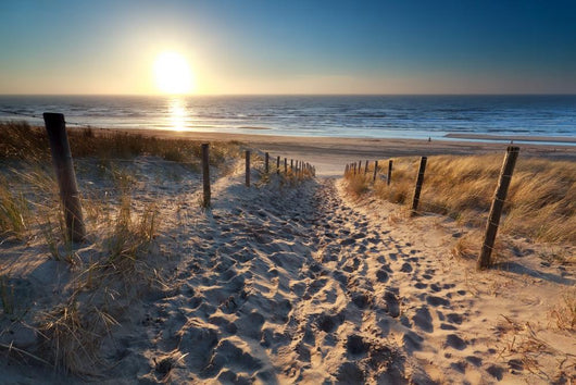 sunshine over path to beach in North sea 