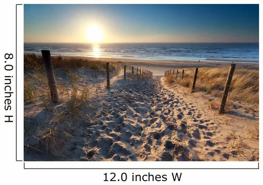 sunshine over path to beach in North sea 