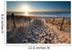 sunshine over path to beach in North sea 