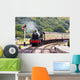 A steam train approaching the station Wall Mural