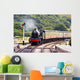 A steam train approaching the station Wall Mural