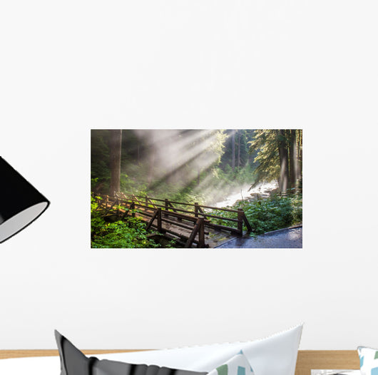 Sunlight through the steam at Sol duc's natural hot springs in Olympic National Park, Washington Wall Mural