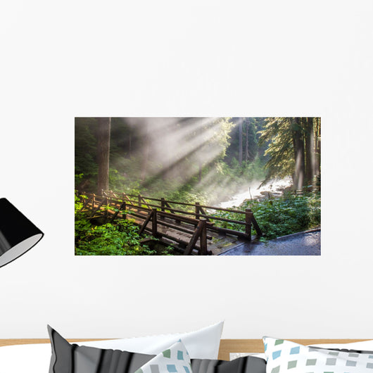 Sunlight through the steam at Sol duc's natural hot springs in Olympic National Park, Washington Wall Mural