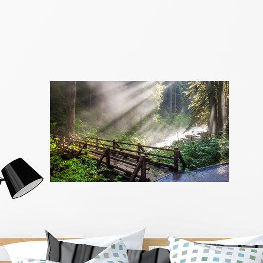 Sunlight through the steam at Sol duc's natural hot springs in Olympic National Park, Washington Wall Mural