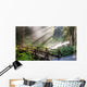 Sunlight through the steam at Sol duc's natural hot springs in Olympic National Park, Washington Wall Mural