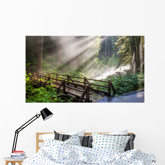 Sunlight through the steam at Sol duc's natural hot springs in Olympic National Park, Washington Wall Mural
