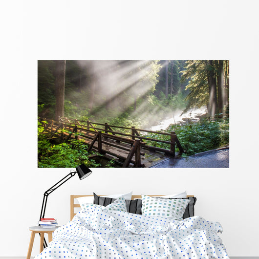 Sunlight through the steam at Sol duc's natural hot springs in Olympic National Park, Washington Wall Mural