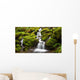 Green moss covered rocks along a stream on the way to Sol Duc falls in the rain forest of Olympic National park, Washington Wall Mural