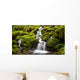 Green moss covered rocks along a stream on the way to Sol Duc falls in the rain forest of Olympic National park, Washington Wall Mural