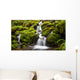 Green moss covered rocks along a stream on the way to Sol Duc falls in the rain forest of Olympic National park, Washington Wall Mural