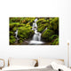 Green moss covered rocks along a stream on the way to Sol Duc falls in the rain forest of Olympic National park, Washington Wall Mural