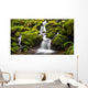 Green moss covered rocks along a stream on the way to Sol Duc falls in the rain forest of Olympic National park, Washington Wall Mural