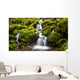 Green moss covered rocks along a stream on the way to Sol Duc falls in the rain forest of Olympic National park, Washington Wall Mural