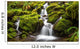 Green moss covered rocks along a stream on the way to Sol Duc falls in the rain forest of Olympic National park, Washington Wall Mural