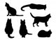 Six Black Cats Wall Stickers Wall Decal