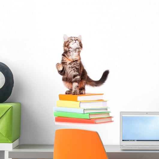 Kitten with books Wall Decal