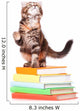 Kitten with books Wall Decal
