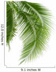 Leaves of Palm Tree 