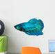 siamese fighting fish , betta isolated on white background 