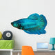 siamese fighting fish , betta isolated on white background 