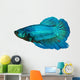 siamese fighting fish , betta isolated on white background 