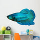 siamese fighting fish , betta isolated on white background 
