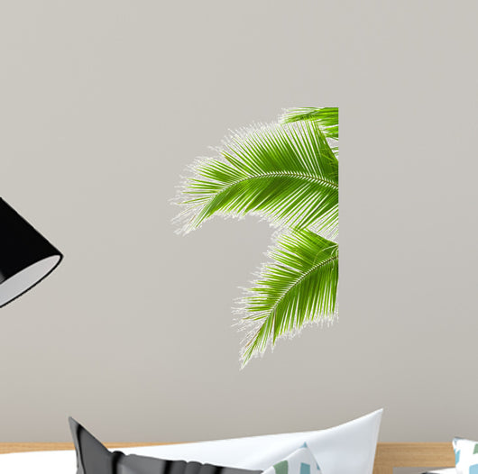 Tropical Palm Tree, Tree Leaves Wall Decal for Bedroom, Office & Vinyl  Leaves Tree Wall Decal