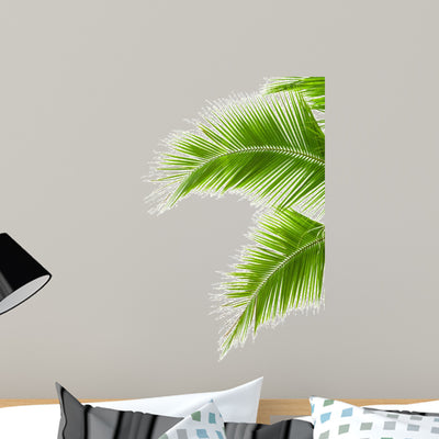 Leaves Palm Tree White shown on a wall
