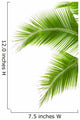 Leaves of palm tree isolated on white background 