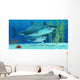 Pleistocene Megalodon Shark Wall Mural