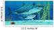 Pleistocene Megalodon Shark Wall Mural