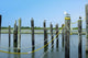 Pier Wall Mural