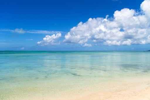 Peaceful Day Peaceful Beach Wall Decal