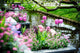 Beautiful flowers in Keukenhof Gardens Wall Mural