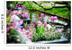 Beautiful flowers in Keukenhof Gardens Wall Mural