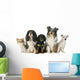 Five Dogs 