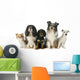 Five Dogs 