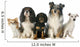 Five Dogs 