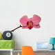 Orchid Isolated 