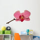 Orchid Isolated 