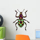 Amazing Exotic Weevil Pachyrhynchus Gemmatus 