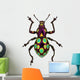 Amazing Exotic Weevil Pachyrhynchus Gemmatus 