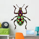 Amazing Exotic Weevil Pachyrhynchus Gemmatus 