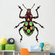 Amazing Exotic Weevil Pachyrhynchus Gemmatus 