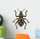 Exotic Weevil Pachyrhynchus Reticulatus 
