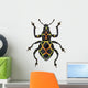 Exotic Weevil Pachyrhynchus Reticulatus 