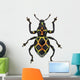 Exotic Weevil Pachyrhynchus Reticulatus 