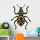 Exotic Weevil Pachyrhynchus Reticulatus 